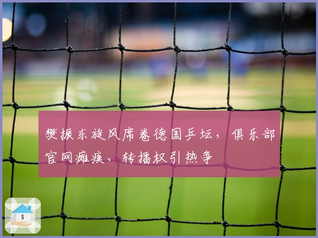 樊振东旋风席卷德国乒坛，俱乐部官网瘫痪、转播权引热争